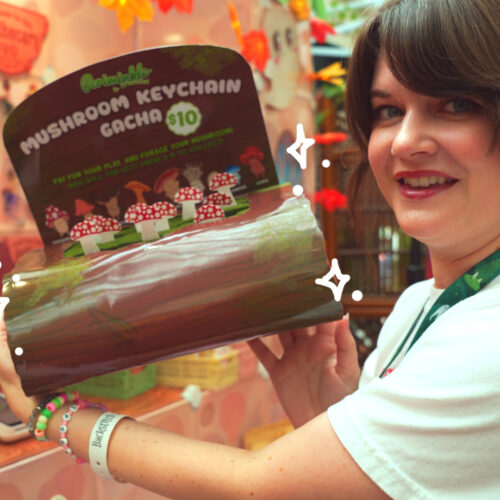 A smiling person holds a display box labeled "Mushroom Log ~ Mystery Gacha Mushroom Keychain Pulls" ($10) with small mushroom keychains inside. Decorative sparkles and a colorful, whimsical background complete the scene.